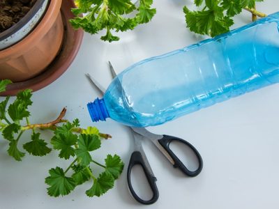 No tires las botellas de plástico viejas: usalas para conservar mejor tus alimentos y que duren más