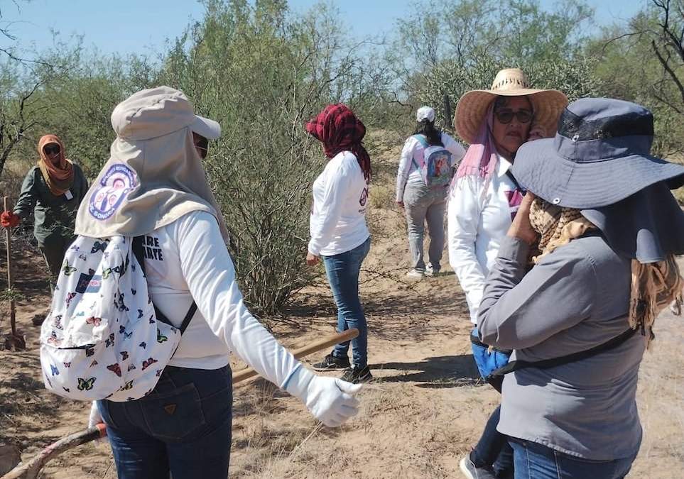 El colectivo denunció la agresión el domingo