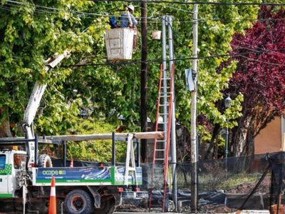 Vandalizaron una línea de alta tensión en Plottier y dejaron sin luz a una parte de la ciudad