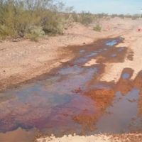 La Confederación Mapuche denunció a YPF por un derrame de crudo en Añelo
