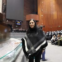 Diputada del PRI propone tres años de cárcel a quien publique encuestas sin permiso