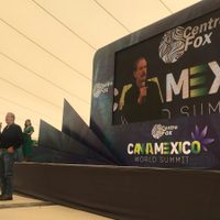 Legalizar la mariguana y no la Guardia Nacional es la vía para pacificar al país, asegura Vicente Fox