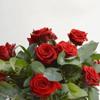 Sin gastar y con algo que de seguro tenés en casa: así podés multiplicar rosas en macetas