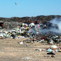 Avanza proyecto para el tratamiento de los residuos en el Alto Valle