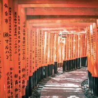 Tras dos años y medio de restricciones, se reabre el turismo en Japón