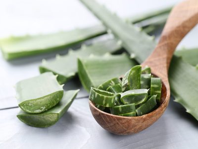 La planta milagrosa que es clave para ayudar a reproducir esquejes y es muy fácil de conseguir