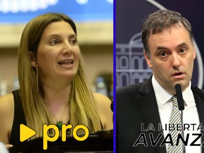 Tensión entre LLA y el PRO por la caída de Ficha Limpia en el Senado