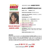 Desaparece niña en Querétaro; ofrecen 250 mil pesos para dar con el paradero