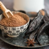 Algarroba: un reemplazo del chocolate en la cocina