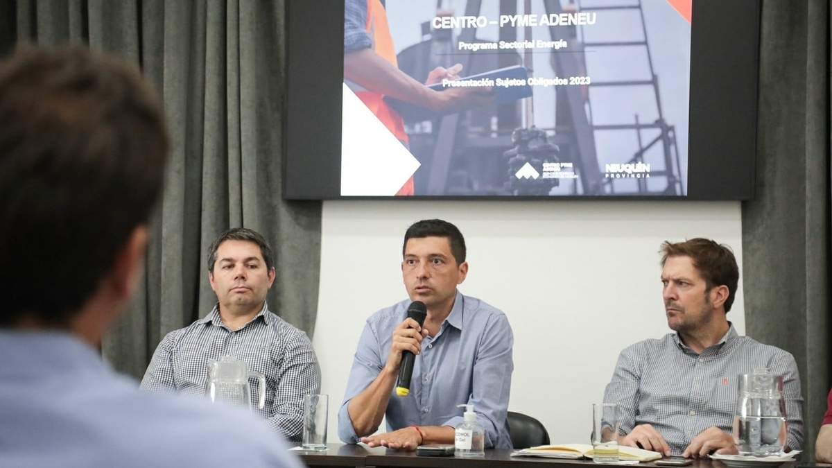 Presentación del Compre Neuquino. Fuente: (Legislatura de Neuquén)