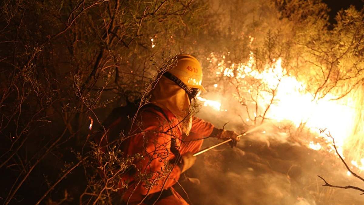 La medida fue decretada tras el aumento de los incendios forestales en el territorio nacional. Fuente: (Twitter)