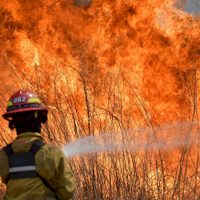 Río Negro, la provincia más afectada por los incendios