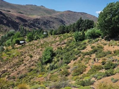 Neuquén lanza créditos de hasta 30 millones de pesos para escriturar tierras fiscales
