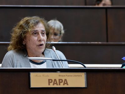 Nueva ruptura en el bloque Fuerza Libertaria de diputados: María Cecilia Papa se suma a Democracia Neuquén