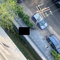 Asesinan al empresario Carlos Narváez Romero en la colonia Anáhuac de la CDMX
