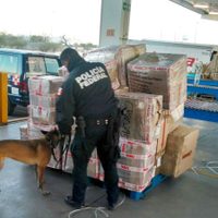 PF decomisa piratería y droga en Guanajuato, Querétaro y CDMX