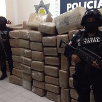 Aseguran tres toneladas de mariguana en el norte de Veracruz