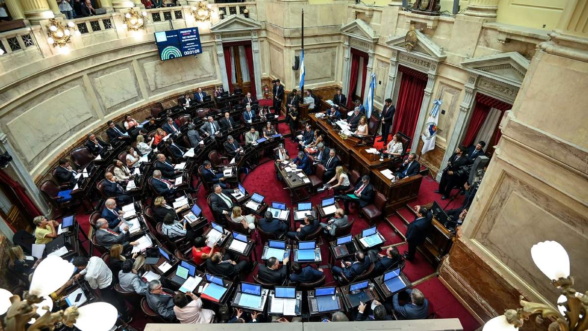 Cámara de Senadores. Fuente: (Twitter)