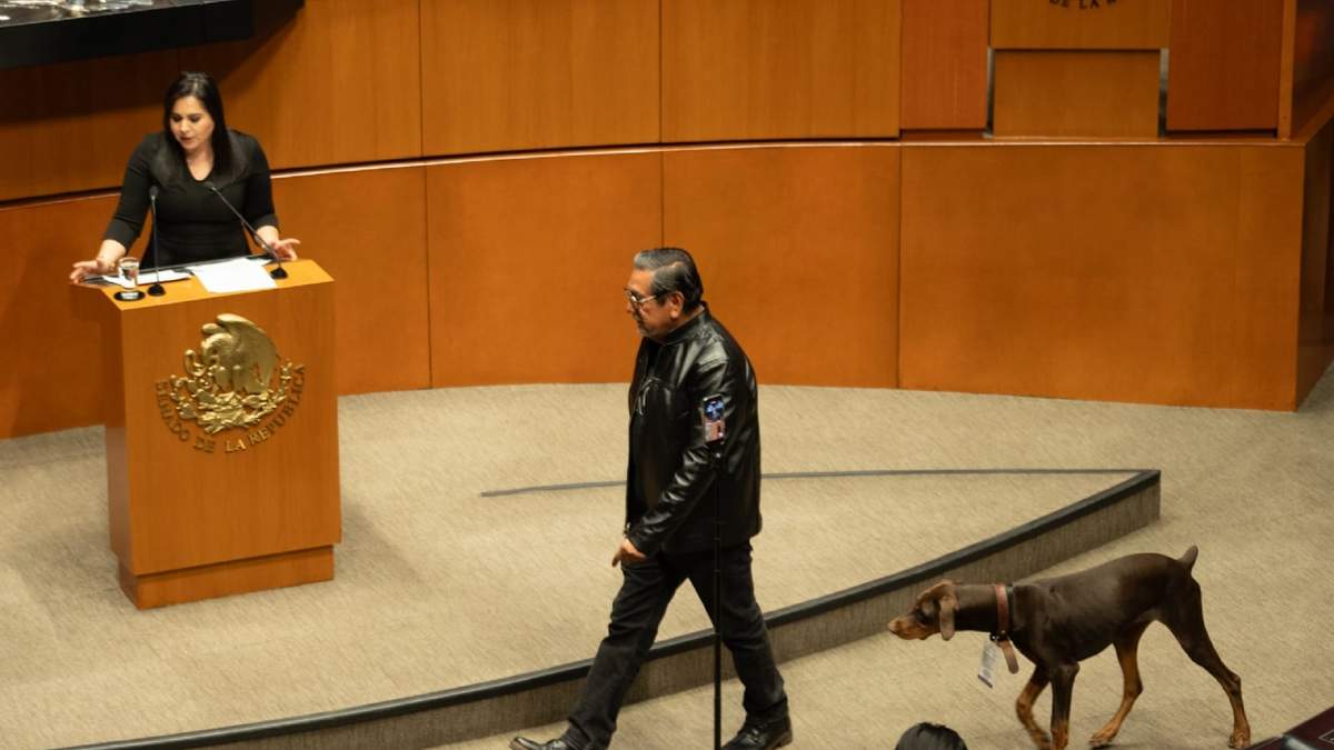 Félix Salgado Macedonio en la sesión del Senado