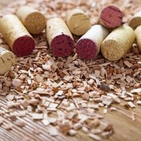 No tires los corchos y usalos para beneficiar a tus plantas sin gastar de más