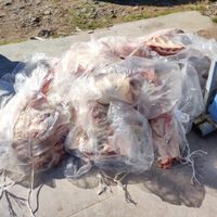 Secuestraron 300 kilos de carne con hueso en Catriel