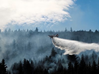 Incendios arrasan miles de hectáreas en la Patagonia; con 10% de focos activos, el riesgo persiste