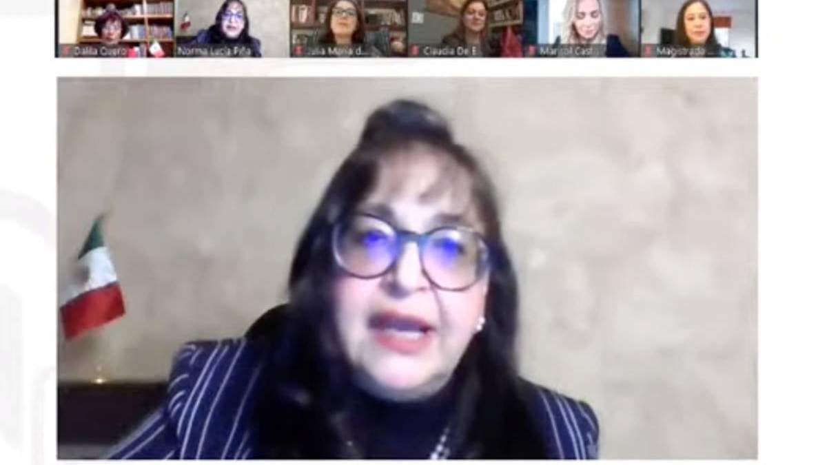 Ministra Norma Lucía Piña, en el foro virtual