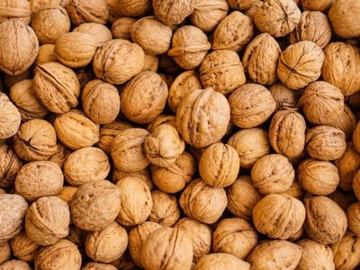 Nueces en Patagonia, la producción que viene creciendo