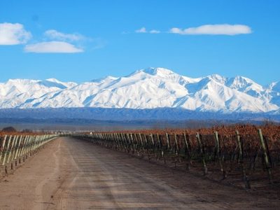 El vino orgánico que es un homenaje a la Pachamama