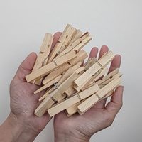 No tires los broches de madera viejos o rotos: creá esto tan lindo y coqueto para tener en casa