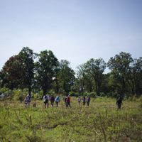 Brigada nacional de búsqueda halla en Yecapixtla un resto óseo