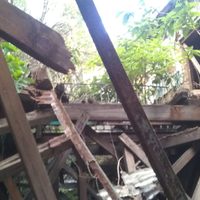 Derrumbe en anexo del Museo de la Estampa no afectó al recinto; refuerzan medidas de seguridad
