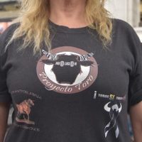 El toro no puede ser motivo de fiesta: activistas (Video)