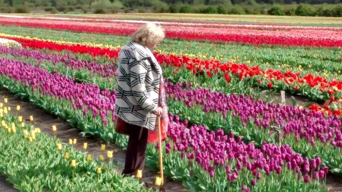 Tulipanes para mamá. Fuente: (Instagram)