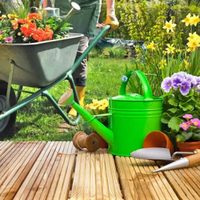 No lo mates: el insecto que se camufla entre tus plantas y es un tesoro para tu jardín