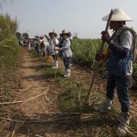 Amenazan a Brigada de Búsqueda de Desaparecidos en Veracruz