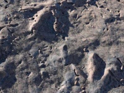 Hallaron huellas de dinosaurios en Picún Leufú