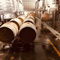 Taller de degustación de vinos de San Patricio del Chañar