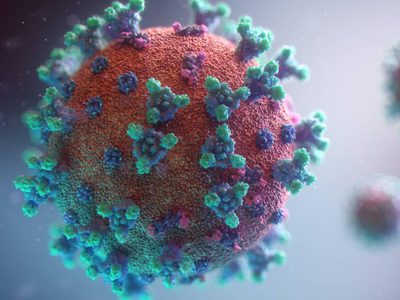 Alerta desde Sudáfrica: descubrieron una nueva variante de coronavirus con múltiples mutaciones
