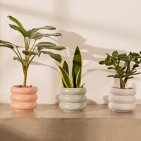 Con unas argollitas de madera hacé unos imanes macetitas para tu heladera que son un sueño