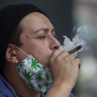 Estudian efectos a largo plazo del consumo de mariguana entre los adolescentes