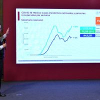 Ssa: el reto, la recuperación total de enfermos graves por covid-19