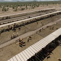 Durazo logra alianza con UGRS e impulsan más de 800 millones para parque industrial y modernización