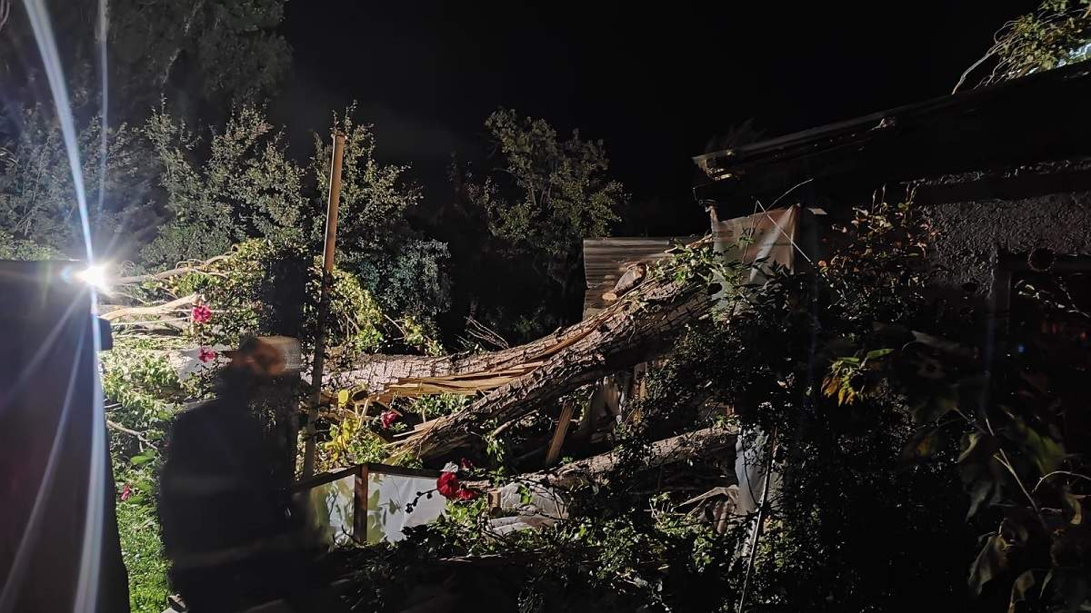 El álamo de unos 30 metros de altura se desplomó sobre la vivienda a raíz del fuerte viento. Fuente (Bomberos Voluntarios SMA)