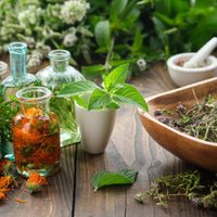 La planta que muchos confunden con maleza en el jardín, pero esconde propiedades medicinales