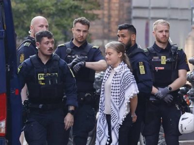 Greta Thunberg detenida en una protesta propalestina en Dinamarca (Video)