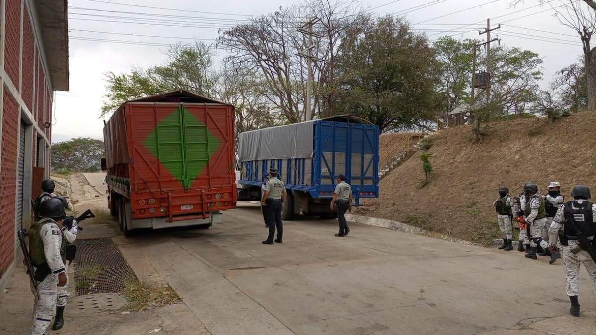 Dos de los tres camiones de carga en los que transportaban a los migrantes