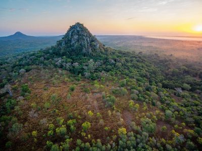 Cómo el café ayuda a renacer a un bosque tropical diezmado en Mozambique