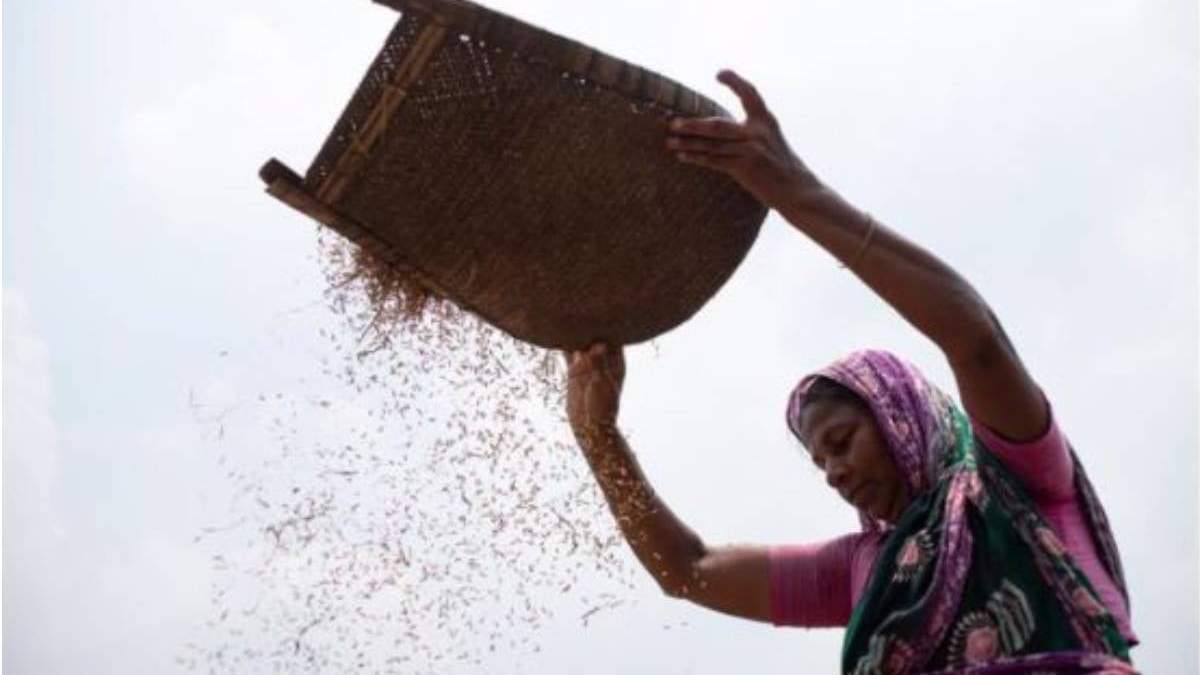 Afectaciones a la agricultura en Bangladesh