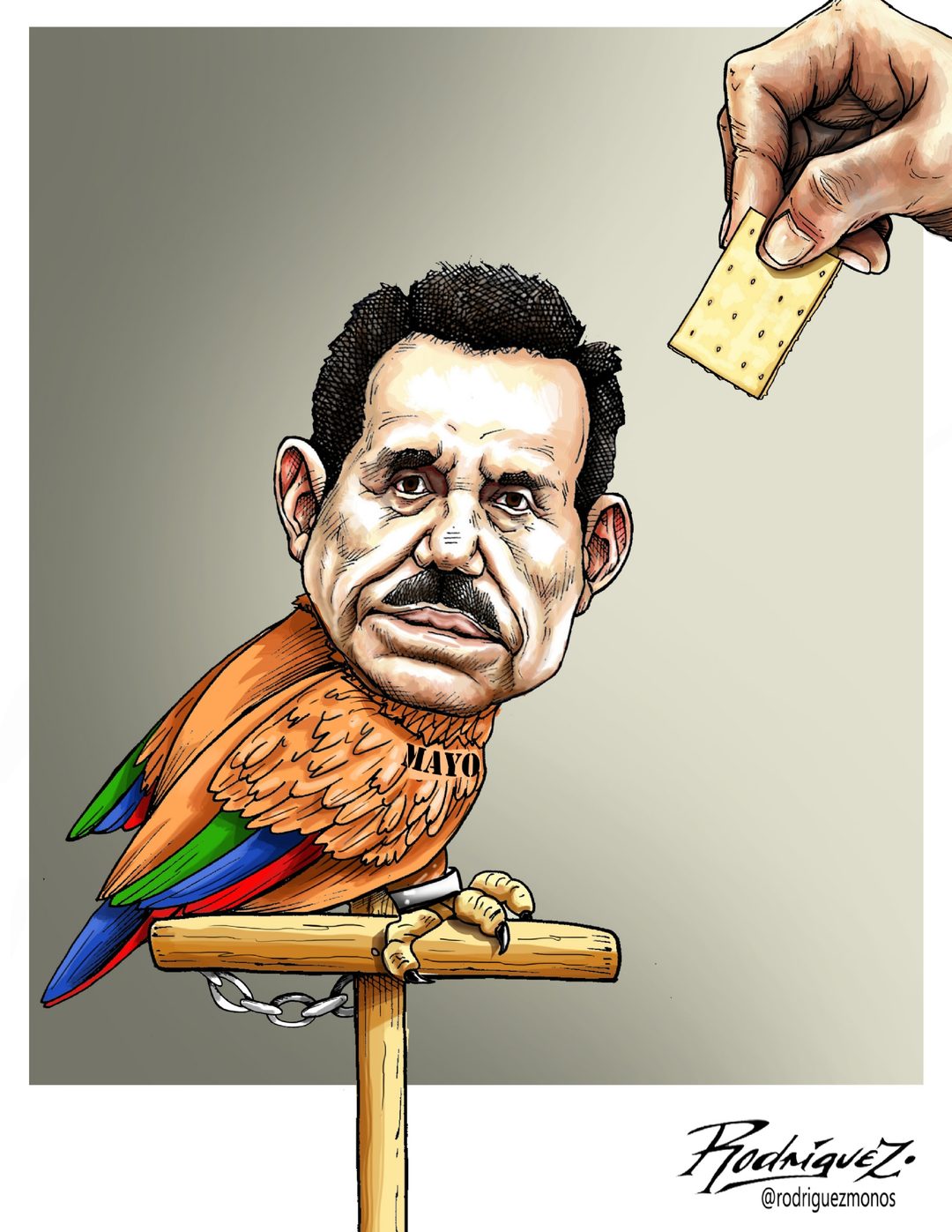 guacamayo leaks